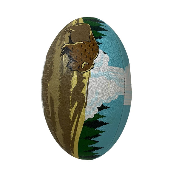 Yellowstone Booshie National Parks - Size 5 Rugby Ball